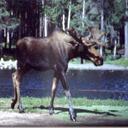 Domingo Cabrera - @domingocabrera - Twitter