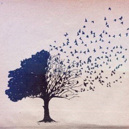 IvaGergova's profile picture. 