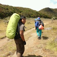 alief (@aleefzulfika) 's Twitter Profile