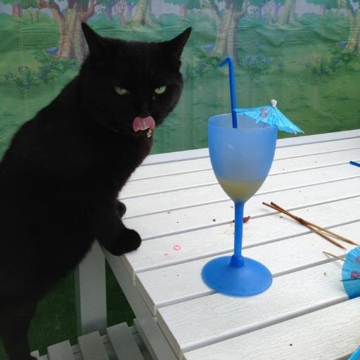 Toscana88's profile picture. 