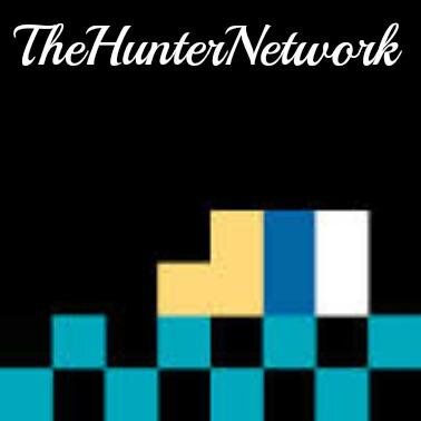 THNGamecrew's profile picture. 