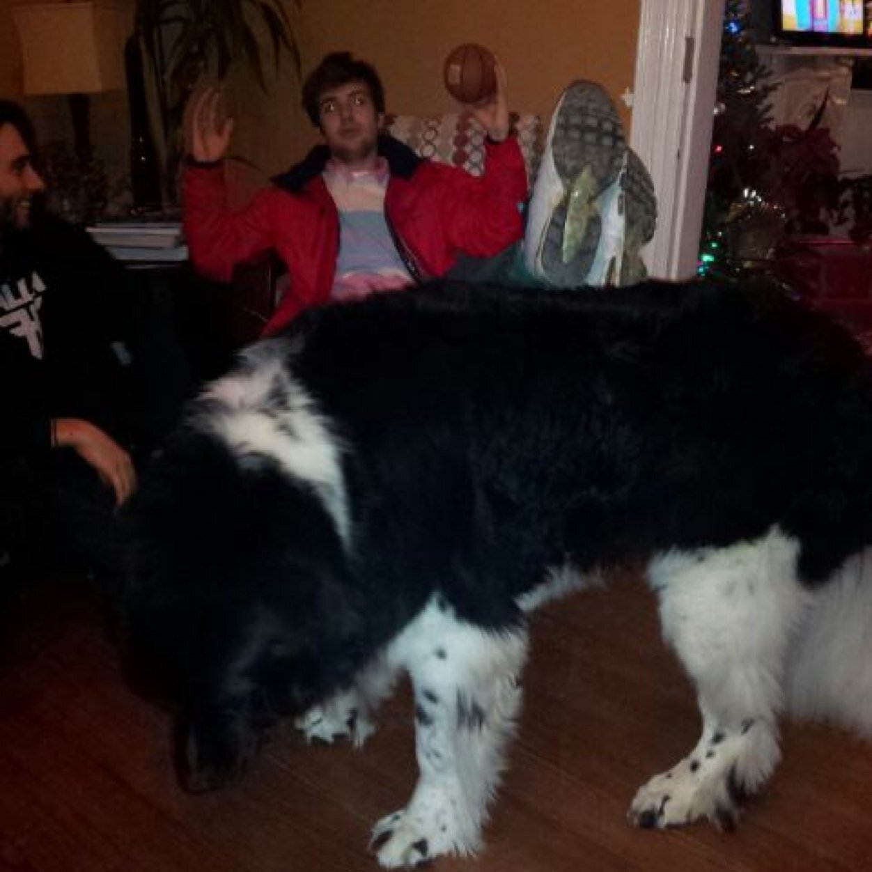 wilderness_615's profile picture. 