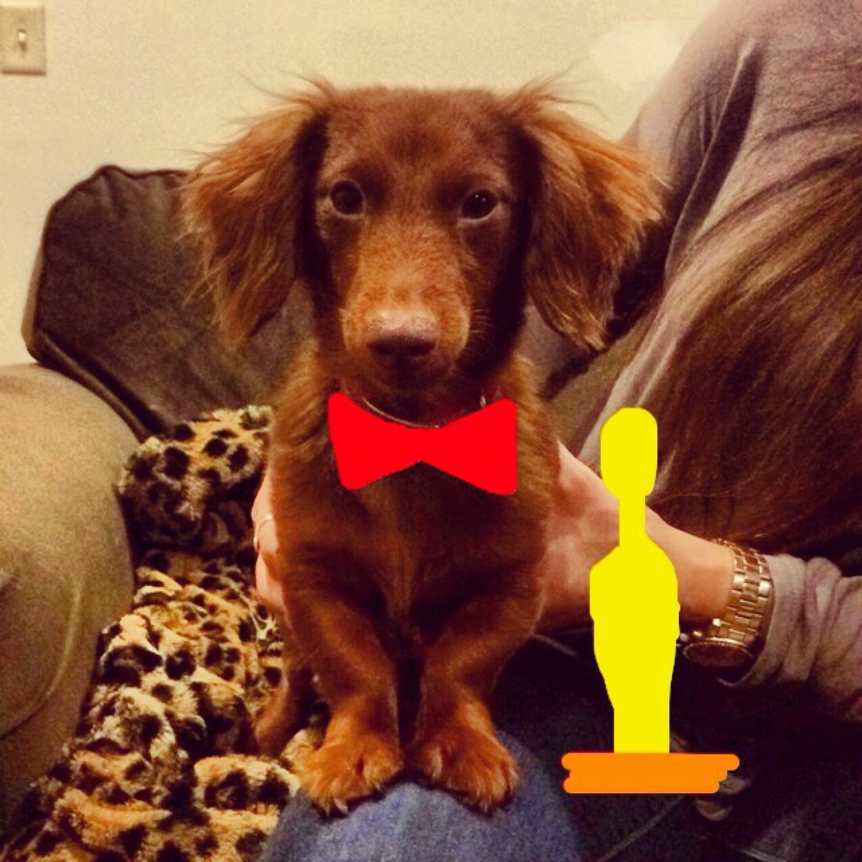 cmiller10991's profile picture. 