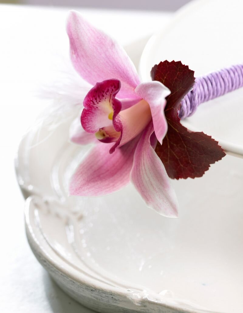 snijorchidee's profile picture. Het platform om inspiratie en ideeën op te doen met Snij orchidee. Check ook onze facebookpagina http://t.co/Gax0pPbuWT