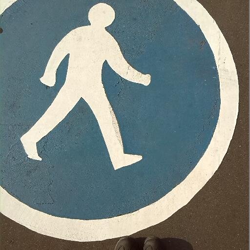Language | Music | Reading | Photography | Ice hockey | Skating | Walks | Cats