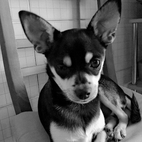 tobytoby212's profile picture. 