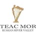 Teac Mor (@teacmor) Twitter profile photo