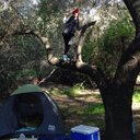 Ⓟⓔⓐⓡⓛ - @PearlMunoz - Twitter