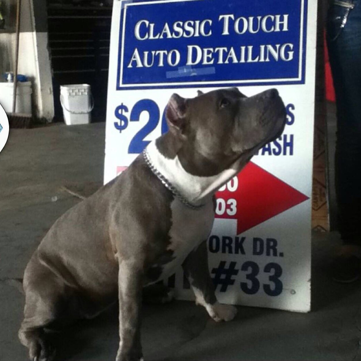 #ChangeThatLook with Auto Detailing and Car WRAPPING Make an appointment / Get a Quote 647.898.5610 / 647.823.5280;; Check us out on Instagram @classictouch416
