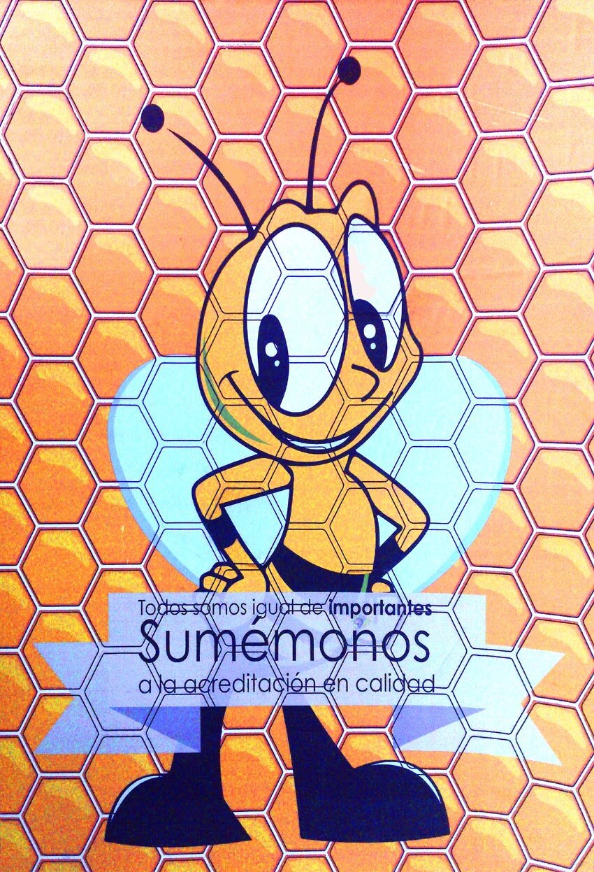 CalidadComunal's profile picture. Encargada Comunal de la Unidad de Mejora Continua de la Calidad