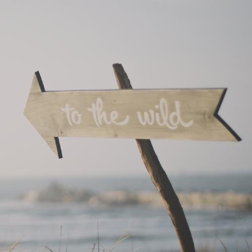 To The Wild es ese lugar de nuestra infancia en donde fuimos libres...