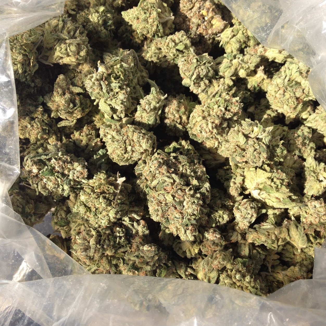 friendlyxpress's profile picture. Search for us on weedmaps friendlyxpress Home of the 5grams for 40$ deal Serving LA and Orange County