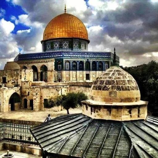 dsftfan's profile picture. انشاء_الله_بتنفشٌّوا 
4⃣4⃣2⃣ً يا قاهرهم #محمد_عساف