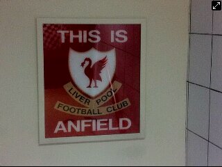 Business and Logistics, Liverpool Fanatic