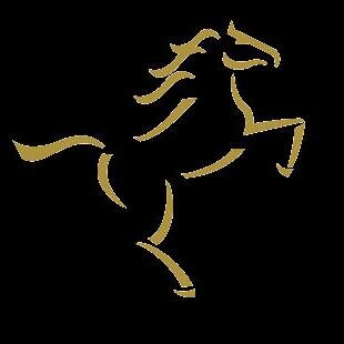 MagnaGolfClub's profile picture. 