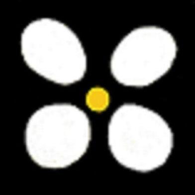 ilfiorello's profile picture. Il Fiorello Olive Oil is a family owned and operated company whose focus is on producing artisan Extra Virgin Olive Oil. Come for tours, tastings and adventure.