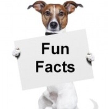 Tired of the same boring fun facts accounts?  I'll be delivering fresh new facts to the people of twitter.