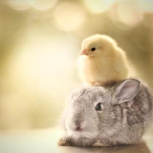 HappySmileMe8's profile picture. 