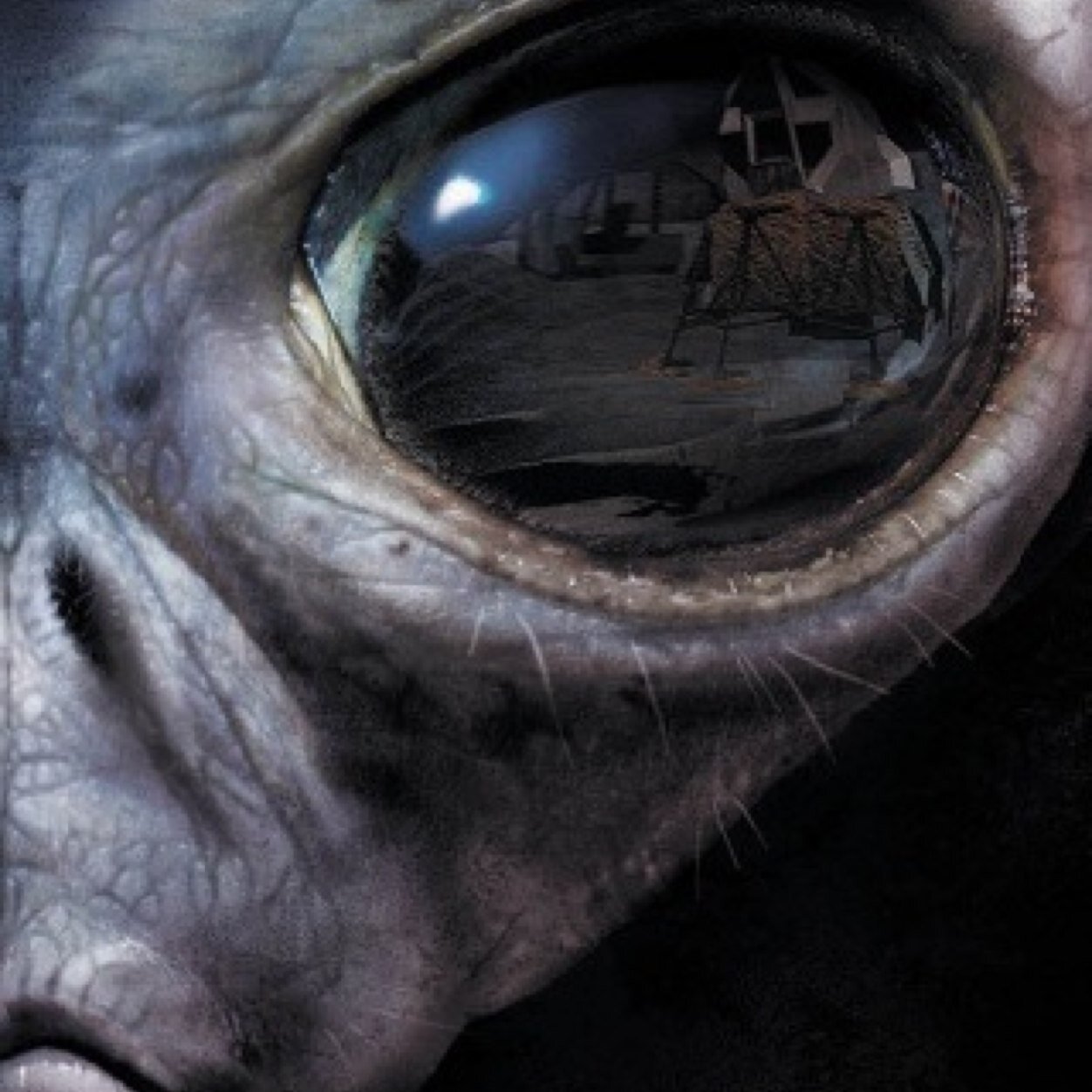 Alanluisnorris's profile picture. 