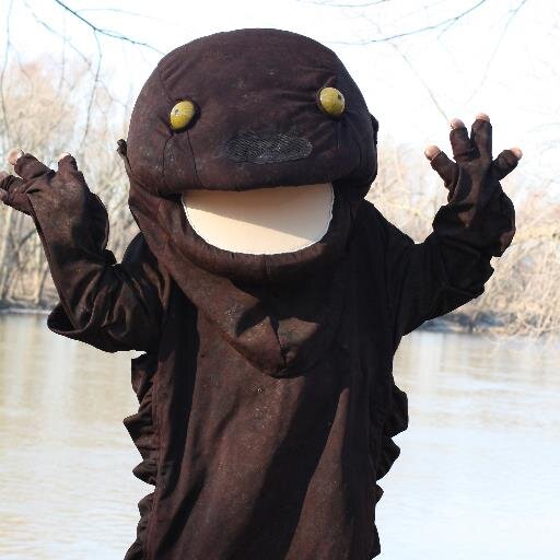 Hellbender conservation, research, and outreach.