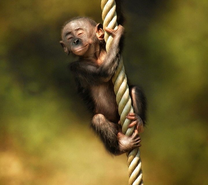 PicNatures's profile picture. Nature improve the World. Now you can see more on https://t.co/dvlf5qDPXD