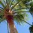 vickis72_vicki's profile image