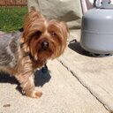 ben ayers - @bennayers22 - Twitter