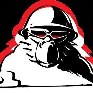 Subscribe To https://t.co/THc89CIT12 On Youtube And Follow Me On Twitter