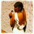sofia_sogon's profile image