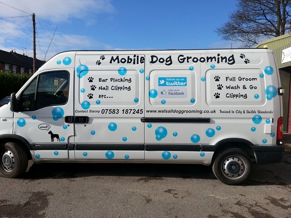 mobile dog grooming service