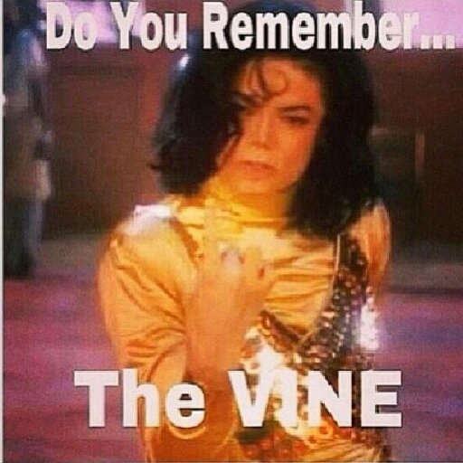 Do It For The Vine