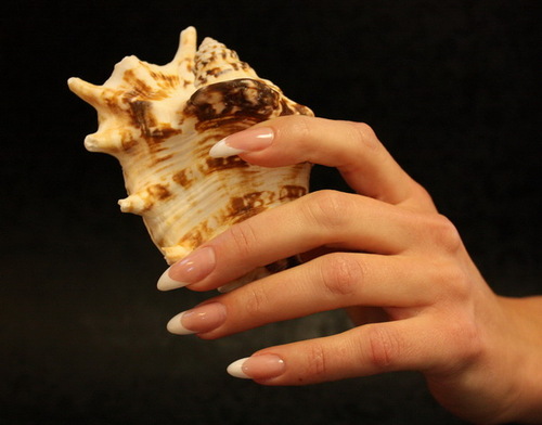 viisilusalong's profile picture. Nail designer and educator with more than 9 years of experience.