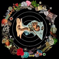 One Drone Day {ODD}  (@onedroneday) 's Twitter Profile