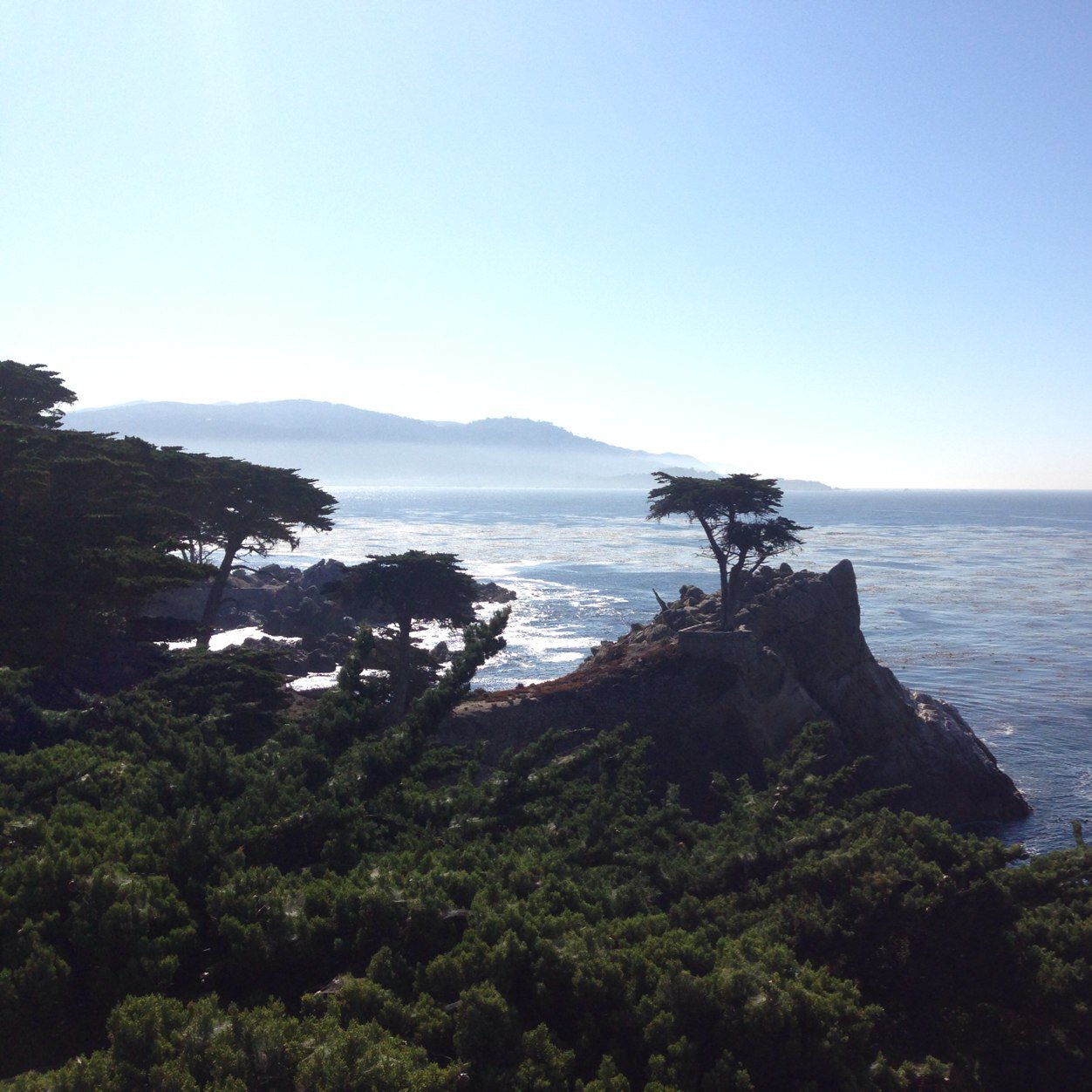 chocolatewyatt's profile picture. 