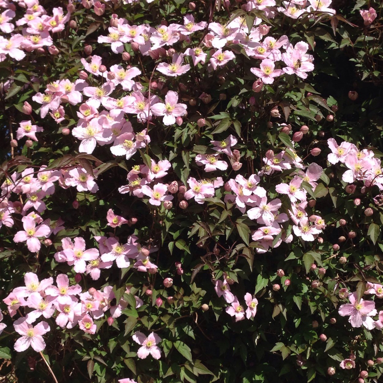 DebGx1's profile picture. Proud Mum of two beautiful girls. Love dogs especially Red Setters! Love life, to laugh, and of course my Husband xxx