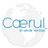 Caerul LLC