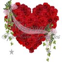 حمزه (@059898) Twitter