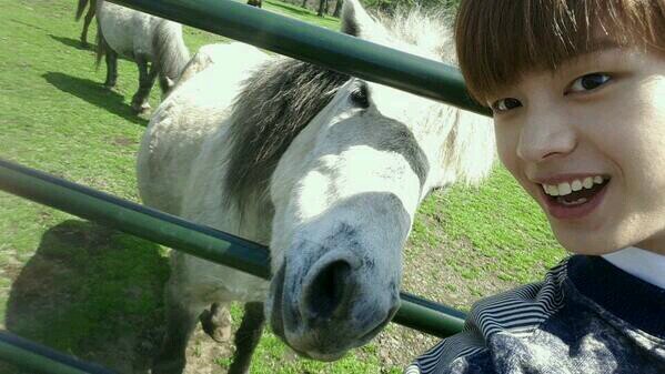 Maknae de BTOB | El jirafo |