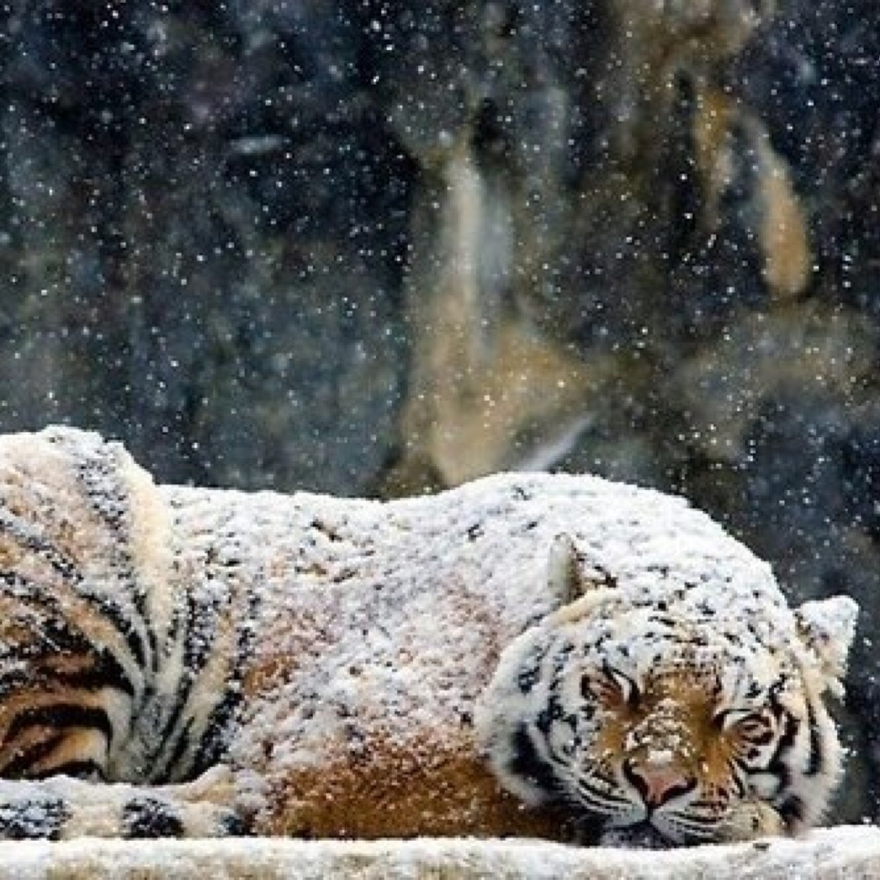 Открыт для общения и обсуждения, #Взаимный #Фолловинг. Путешествия, приключения #Followback. Давайте дружить