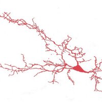 Yannis Dalezios (@yannisdalezios) 's Twitter Profile