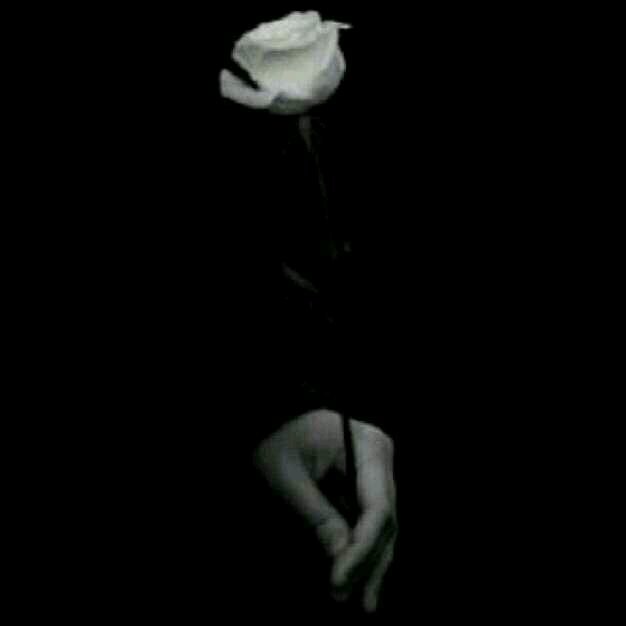 ‏‏‏‏‏بحذف حسابي لوجود خطا فيه