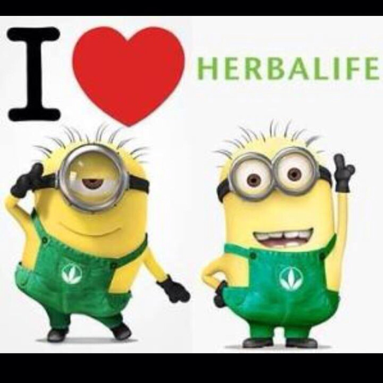 SamoaMaori's profile picture. Samoan ~ Father 》Maori ~ Mother 》 Networking. Herbalife. Fit4life. Live each day as your last. Cherish the people that you love and who love you in return.