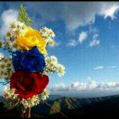 loyps's profile picture. 