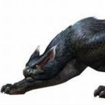 ナルガクルガ Gararaajara ガララアジャラさん発見 咆哮っ がおー ｗ 顔文字これでいいかなぁ