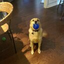 Michael Bruce - @MickFlyNavy - Twitter