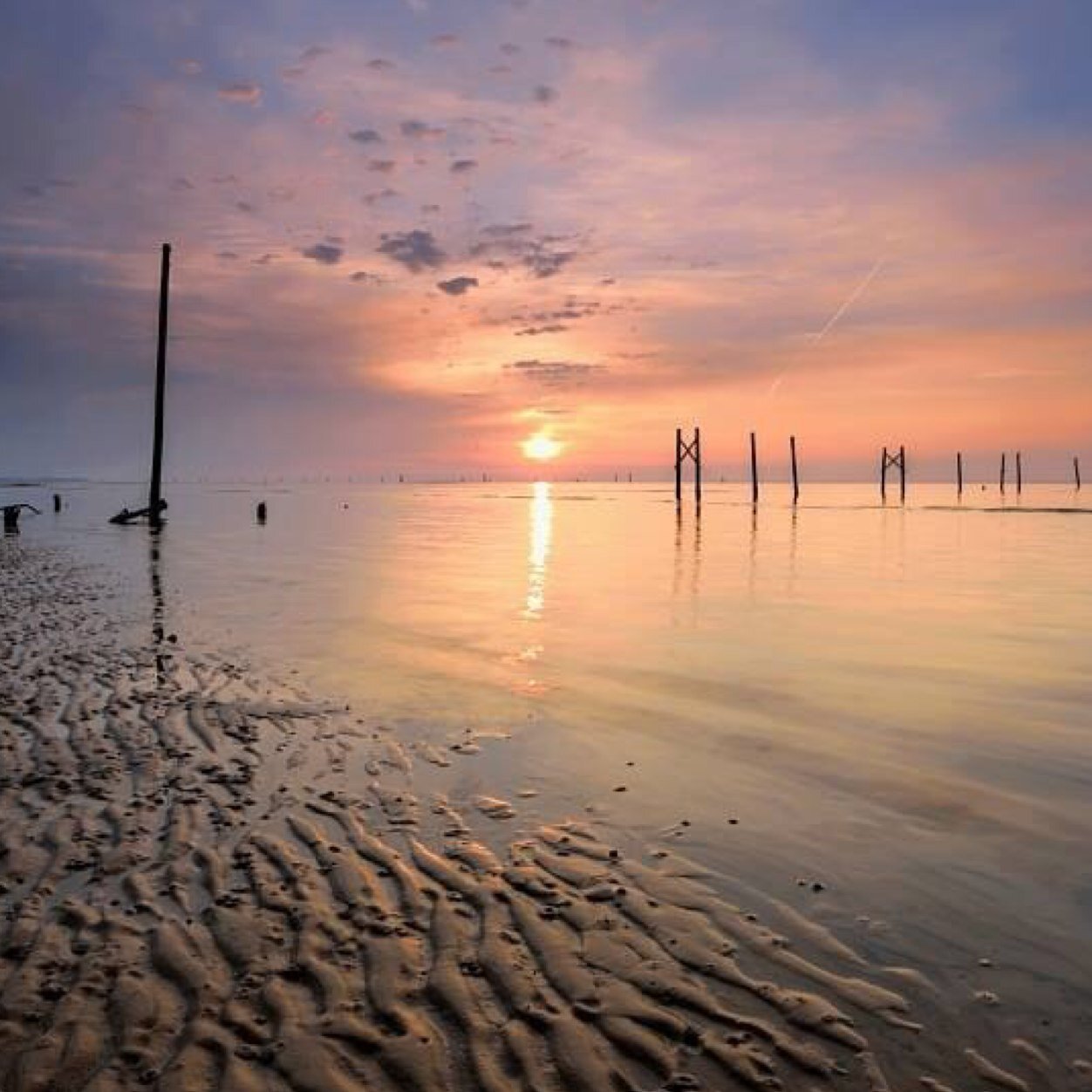 BigKindHeart's profile picture. Having a fun and exciting life ~ exploring a healthier life and learning new ways to stay healthy :)