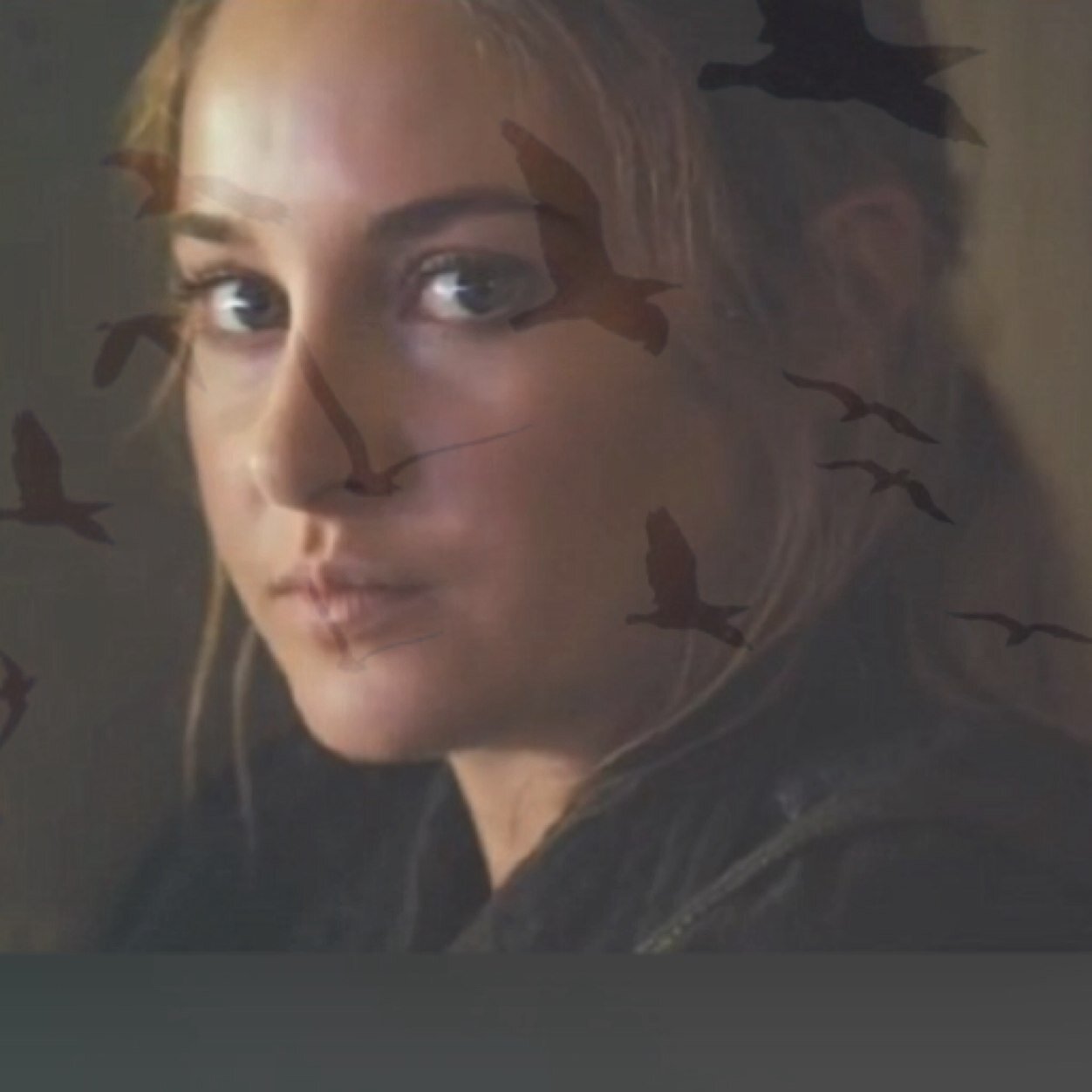 Dr_bieber4evr's profile picture. I dont want to see a life without augustus waters.