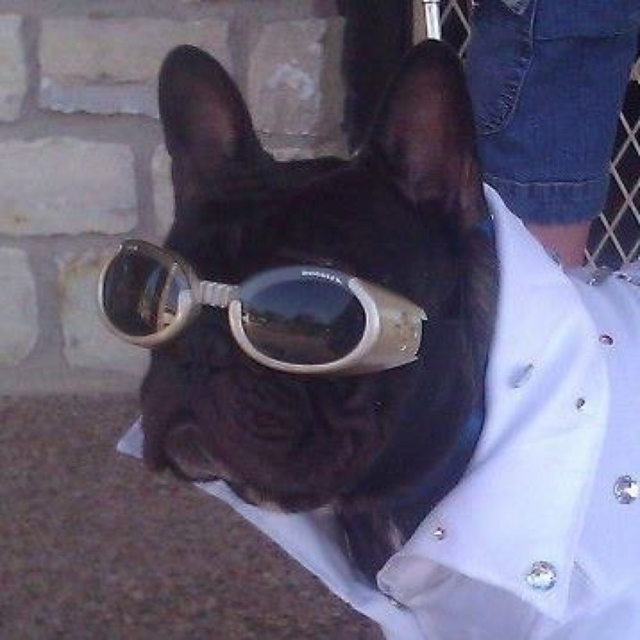 stupe198's profile picture. 