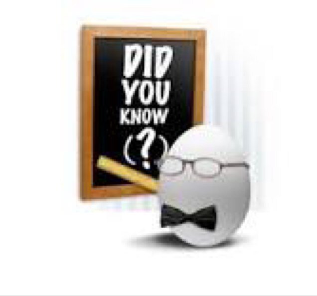 Serving all the factoids you want to hear! From unexpected & surprising, to the most wittiest facts!