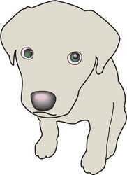 underpupnyc's profile picture. a rock trio from NYC trying to do their thing